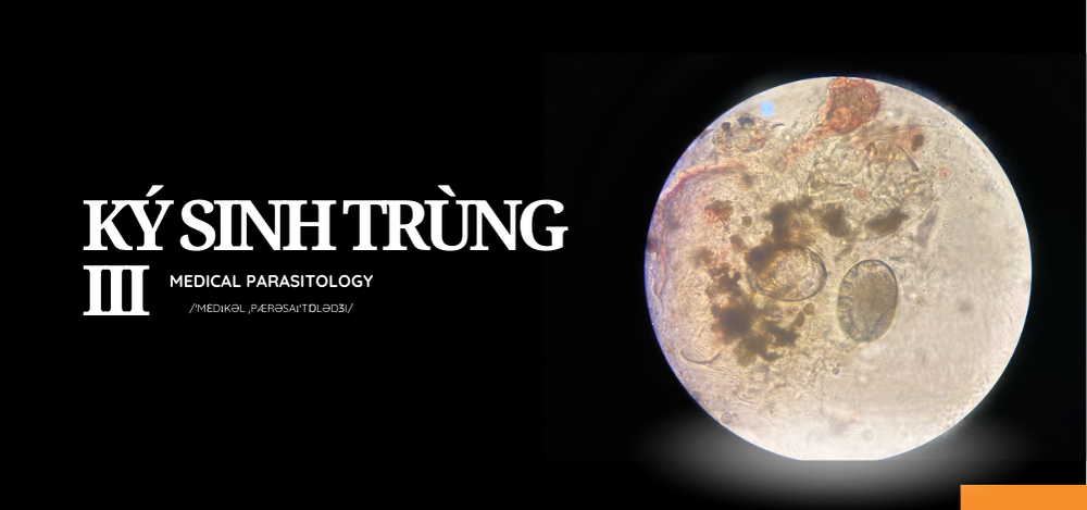Ký sinh trùng III