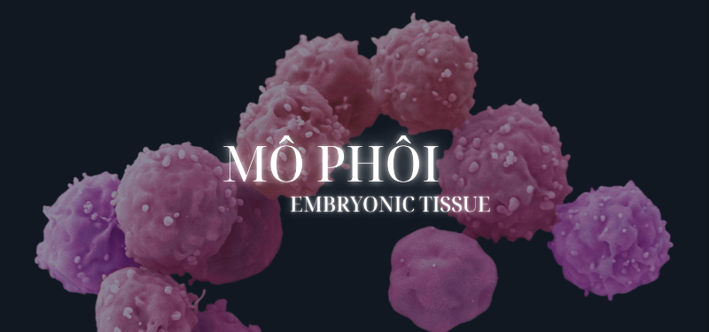 Mô phôi