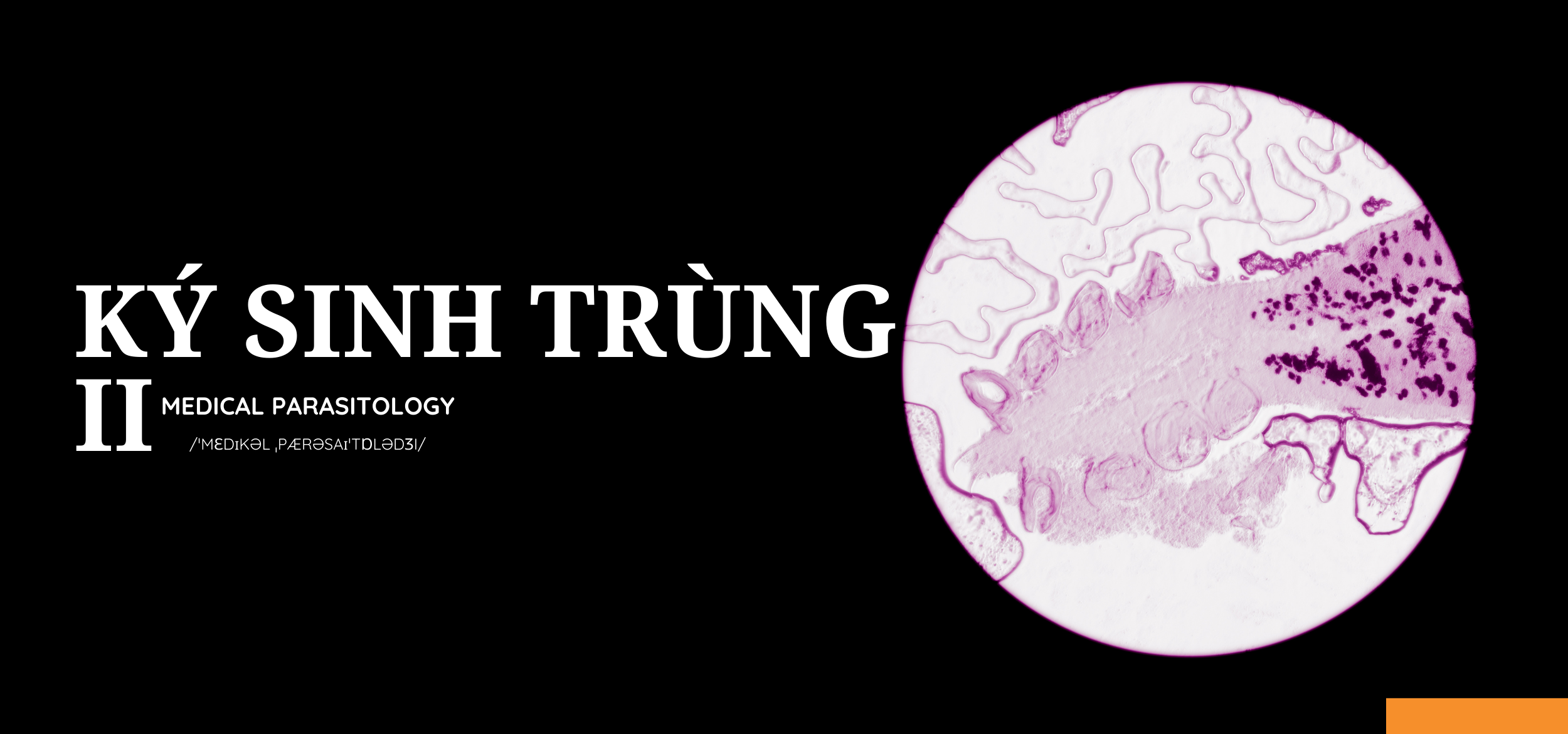 Ký sinh trùng II