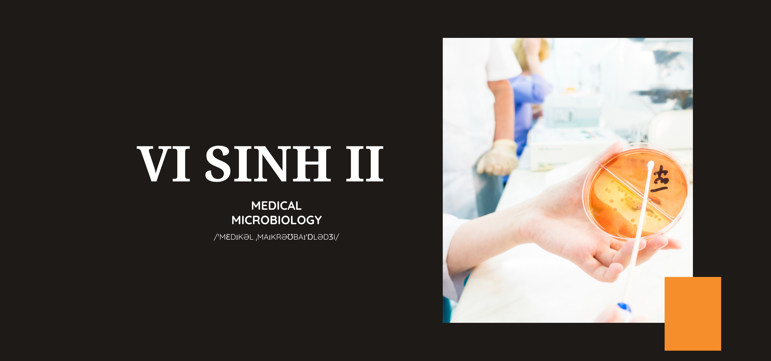 Vi sinh II