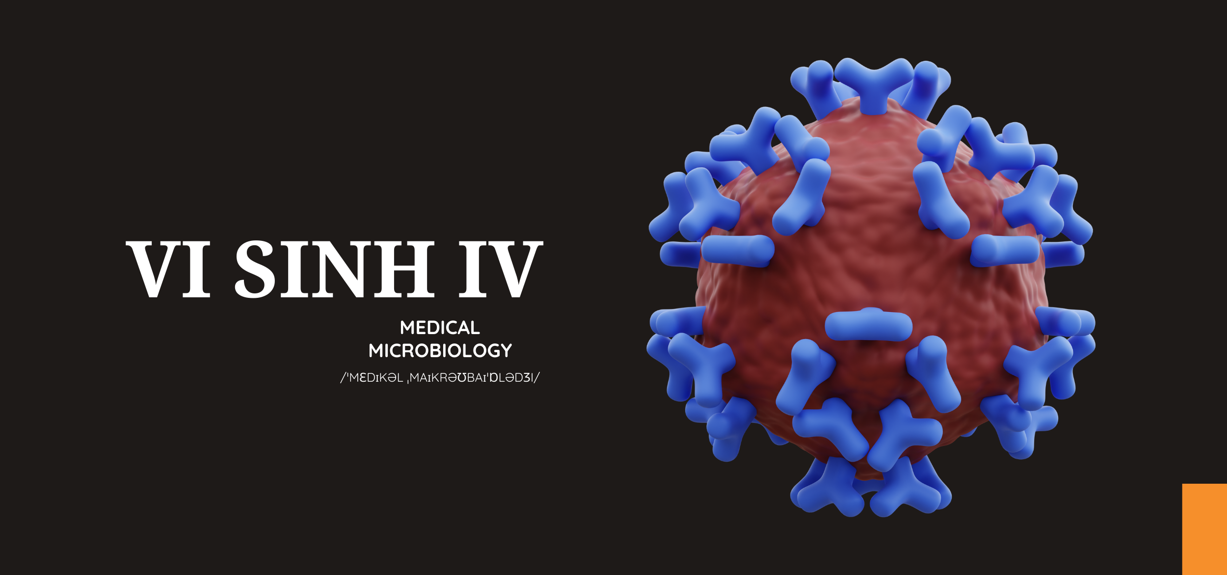 Vi sinh IV