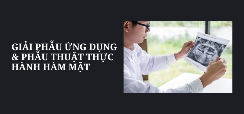 Giải phẫu ứng dụng &amp; Phẫu thuật thực hành hàm mặt