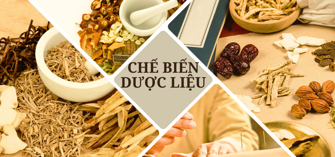 Chế biến Dược liệu