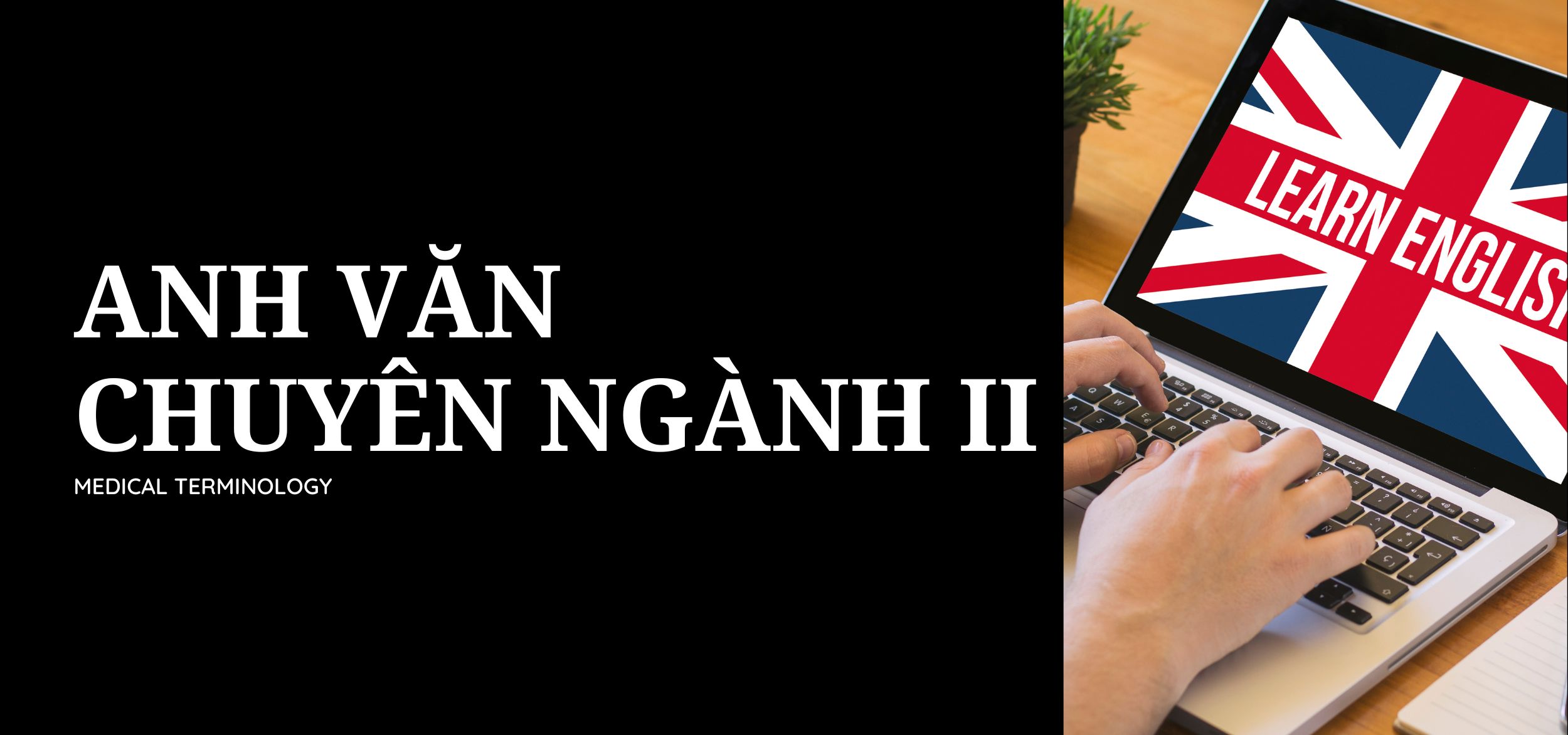 Anh văn chuyên ngành II